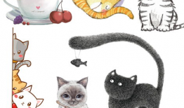 动漫猫猫,动漫世界的奇幻冒险之旅